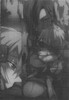 Sword.Art.Online.full.1189424