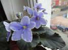 DSC00941