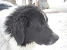 SAM_0785
