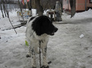 SAM_0787