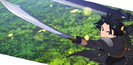 Sword Art Online - 20 - Large 26