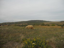DSCN8837