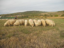 DSCN8851