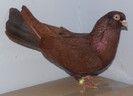 84r(m.2012)-vandut