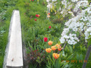 DSCN1061