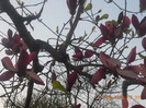 DSCN1064