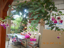 DSCN1109