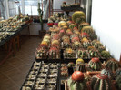 DSCF3766