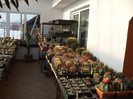 DSCF3769