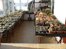 DSCF3770