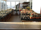 DSCF3771