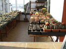 DSCF3772