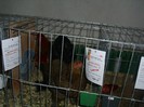 DSCI0844
