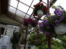 IMGP0751