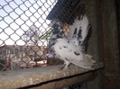 poze 169