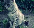 tumblr_mew0au7qw81rjskvyo1_500_thumb