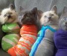 tumblr_mfcu3aQ6e11rmz068o1_500_thumb