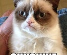 memestache.com_281515_1357124402_thumb