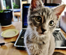 tumblr_lvc3hoIwr21r6kb30o1_400_thumb
