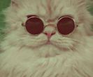 tumblr_mg5qs4YFsg1rnb624o1_500_thumb