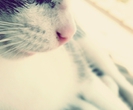 tumblr_mg6v0bxlo61qcm8zzo1_1280_thumb