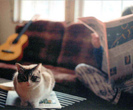 tumblr_mg66of5Bsh1rgh4szo1_1280_thumb