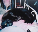 tumblr_mfuz5lEWCn1rcjdl2o1_500_thumb