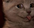 tumblr_mckd3o7wsg1qzpwi0o1_500_thumb