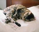 tumblr_mg63j0x1f11rfb7c8o1_500_thumb