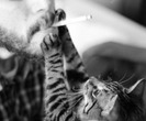 tumblr_mg68zbXWmQ1rjllgbo1_500_thumb