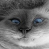 avatare_animale_721