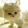 avatare_animale_723