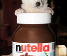 Nutella-cute_thumb