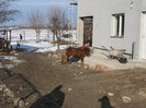 IMG_1717