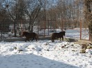 IMG_1725