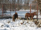 IMG_1727