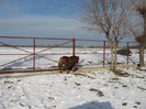 IMG_1729