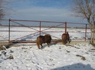 IMG_1730