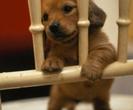 tumblr_mfznyregZG1rsnfyno1_400_thumb