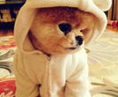 tumblr_mg40j4aaHT1r150wbo1_500_thumbm