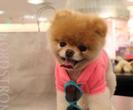 tumblr_mg45bigA0c1s2u0hjo1_500_thumb