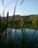Vara