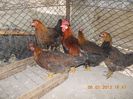 dscn0143