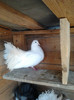 2013-01-06 15.45.25 - Copy - Copy - Copy