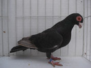 DSC09304