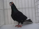 DSC09319