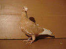 DSC09187