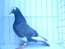 DSC09378