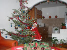 SANY0473