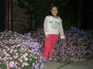 SANY3904